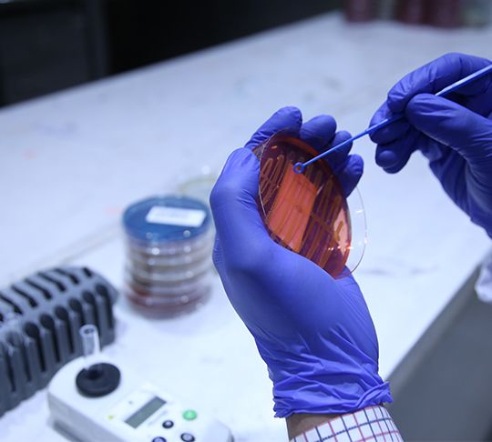 Microbiology Department Microbiology Department
